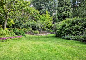 Optimiser l'expérience du jardin à Forest-l'Abbaye